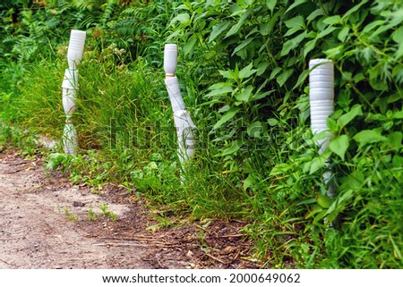 Restrictive posts on the road. Residents independently made them more visible. Green. Tree.