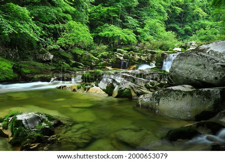 Fresh Green Mountain Stream, Tono City, Iwate Prefecture