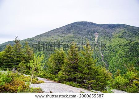 Hiking trail, green forest in Adirondack mountains, NY USA 