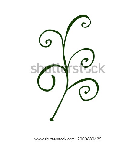 The leaf of the plant in the form of a squiggle in the style of a doodle