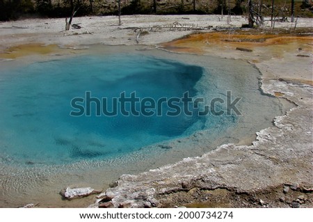 Yellowstone Geysers and thermal pools