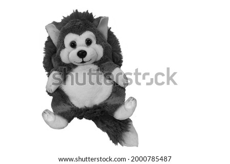 Children toys with white background picture
