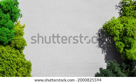 stabilized with moss on a gray background. color stabilized moss for decoration on a gray background for organic cosmetics. The concept of environmentally friendly nature. Royalty-Free Stock Photo #2000825594