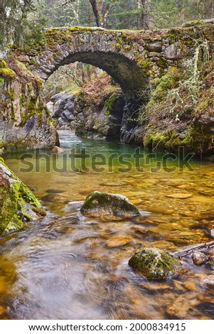 Forest and creek. Angostura picturesque stone bridge in Madrid. Spain