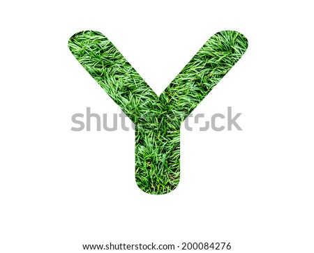 grass letter Y isolated on white background 