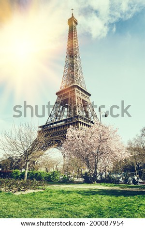 Springtime in Paris. Eiffel tower (toned image)
