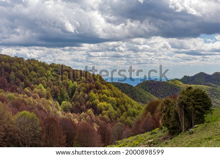 Mountain landscape in cloudy weather. Trees are changing color in the autumn. Forest and green meadow in the foreground. Catalunya, Spain