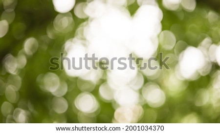 Green bokeh Beautiful blurred background of tree crowns