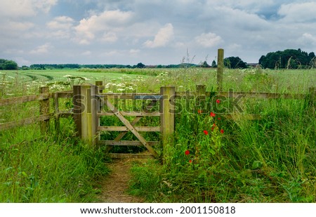 Ramblers wooden swing-gate and footpath flanked by flowering wild flowers  though farmland under bright cloudy sky near Minster Way in Beverley, Yorkshire, UK. Royalty-Free Stock Photo #2001150818