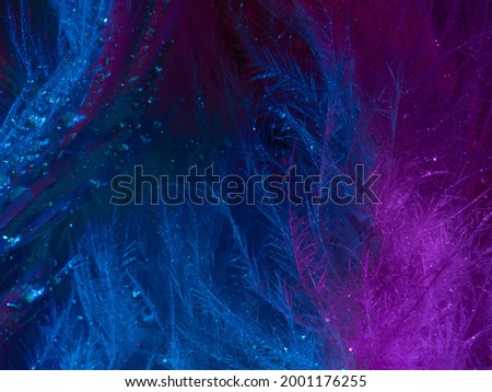 light painting photography, waves of vibrant color against a black background. Long exposure photo of vibrant fairy lights in abstract. abstract color wallpaper	
