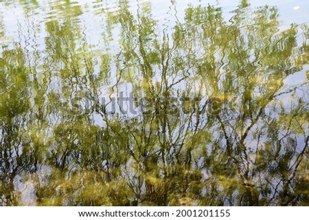 The reflection of branches in the water is not just beautiful, it is fascinating. It is difficult to draw your eyes away from such a picture.
