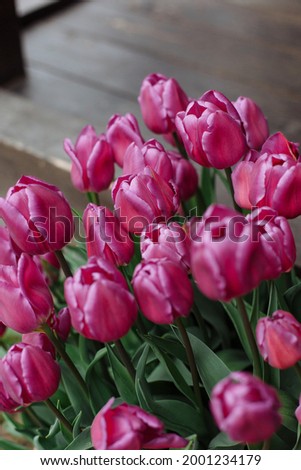Beautiful tender young spring tulips in a slide near a country house. Spring photography, background with flowers for the holiday, photography for the interior