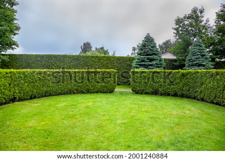 curved thuja hedge in a garden with trees and fir trees and a green lawn spring backyard landscape, nobody. Royalty-Free Stock Photo #2001240884