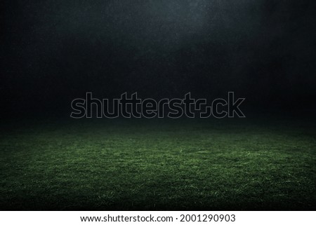 Professional soccer field stadium background Royalty-Free Stock Photo #2001290903