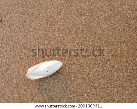 Fine and coarse sand background.  Beach sand.  normal picture.  Summer 2021 wallpaper