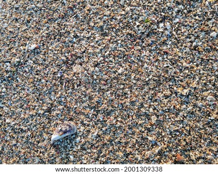Fine and coarse sand background.  Beach sand.  normal picture.  Summer 2021 wallpaper