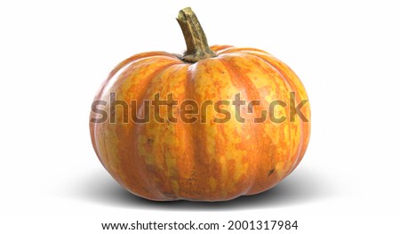 Pumpkin 3D Render illustration on white background 