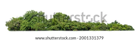 Green trees isolated on white background. forest and leaves in summer rows of trees and bushes Royalty-Free Stock Photo #2001331379