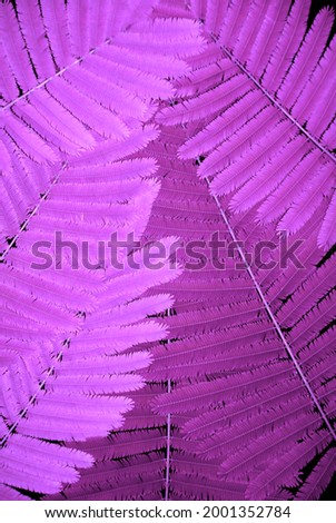 purple and pink leaves Seamless background.