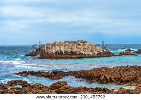 Scenic view of the rocks in the Pacific Ocean on the coast in California