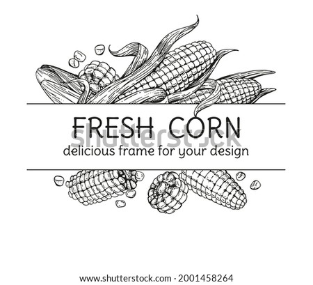 Vector text frame with corn cobs. Hand-drawn sketches engraving style. Unpeeled fruits and grains. For packaging design, menu, recipe pages. Vintage illustration on white background Royalty-Free Stock Photo #2001458264