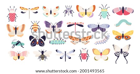 Decorative insects. Doodle beetles, butterflies, dragonflies, bee, caterpillar and grasshopper. Spring bug and worm, flat vector set. Grasshopper and dragonfly, butterfly with wings illustration