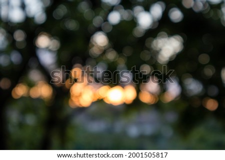 Nature background images abstract blur and bokeh for design