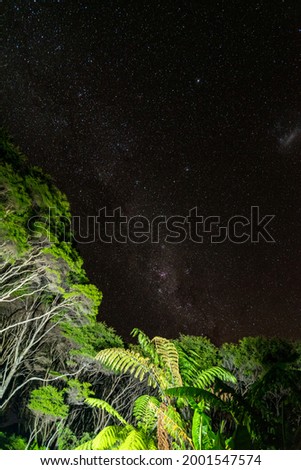 Starry night above the jungle of Great Barrier Island, New Zealand