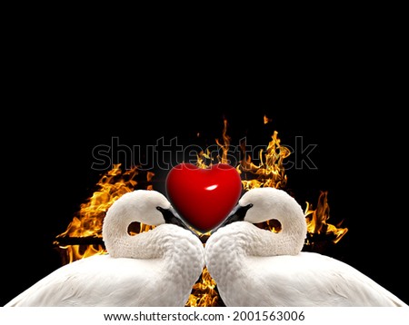 love birds background design for various uses