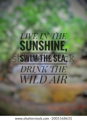 Inspirational life quote "LIVE IN THE SUNSHINE" isolated on a blurry background.