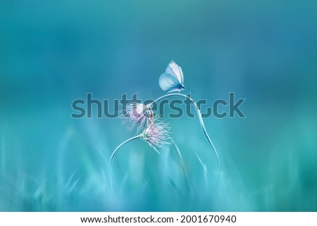 Delicate pink wild flowers and a fragile butterfly on a blue background. Summer minimalist image.