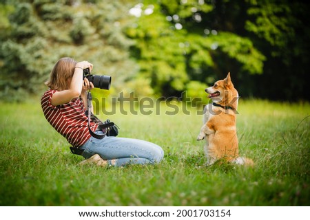 Young woman making a photo of welsh corgi pembroke dogs with a professional dslr camera