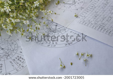 Printed astrology charts with small white field flowers in the background