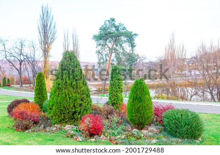 Bushes in ornamental garden in the autumn park . Woody Shrubs in Fall Colors