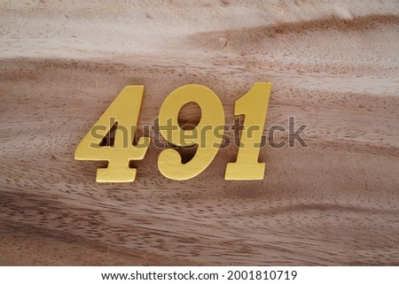 Gold Arabic numerals 491 on a dark brown to off-white wood pattern background.