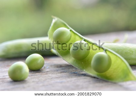 vegetables peas open pod with ripe peas on blurred background natural background