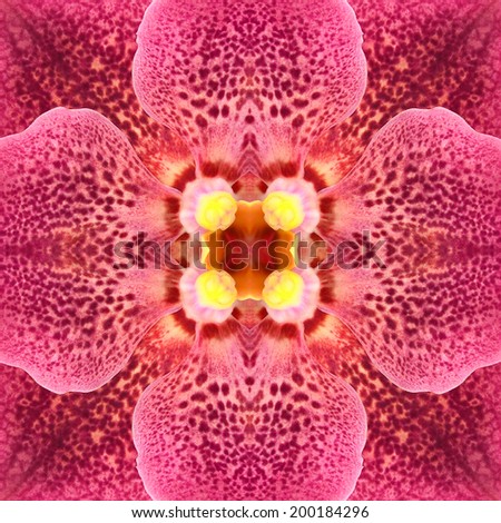 Colorful seamless pattern made from pink flower ( orchid flower )  texture background