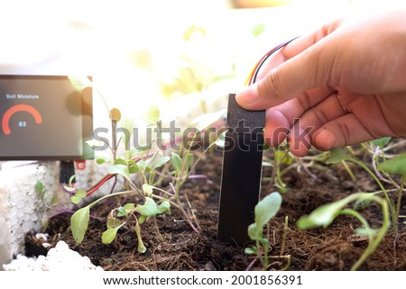 Hand of woman using soil moisture sensor with moisture numeric display screen, Agriculture technology. Royalty-Free Stock Photo #2001856391