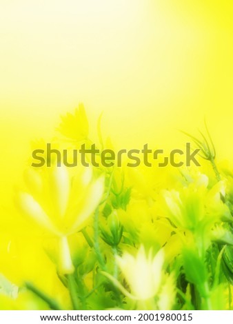 yellow and blur nature background