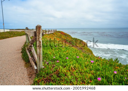 The picturesque coast of Santa Cruz, California. Natural beautiful landscape with a view of the Pacific Ocean