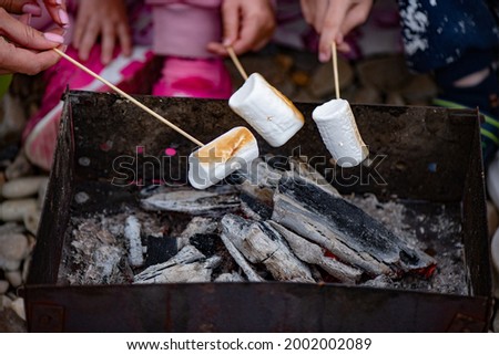 People roast marshmallows on a campfire on a camping trip 