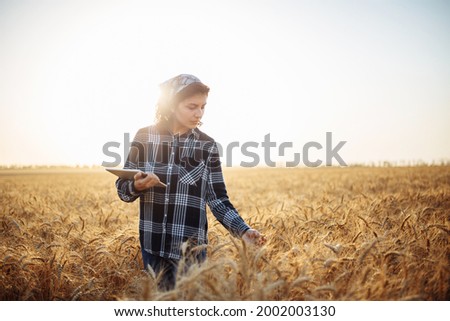 Young woman farmer checking the quality of the wheat in the field. Female agronomist analysises the new crop and sends date to the cloud. Smart farming and agricultural concept