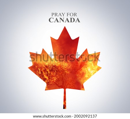 Pray for Canada. Canada wildfires concept. Canada shape tree leaf burned by bush fire. Many Animals killed in wild Fire.  Royalty-Free Stock Photo #2002092137