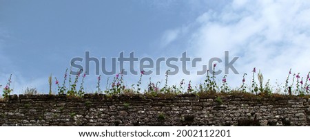 Stonework of old castle with flowers and grass against pale blue sky Royalty-Free Stock Photo #2002112201