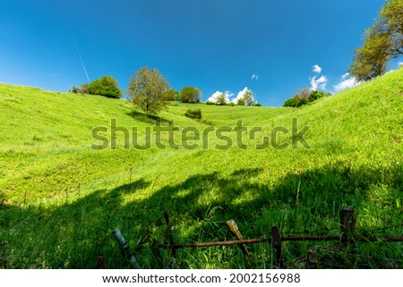 Flowering hills in spring on the Lessini mountains in the province of Vicenza Veneto Italy