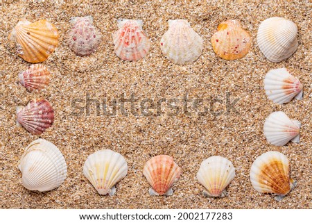 seashells in the sand rectangular border