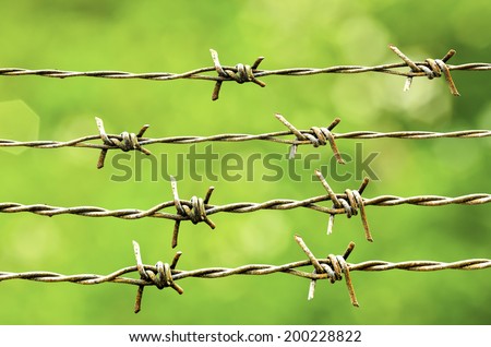 Strands of barb wire isolated on nature background