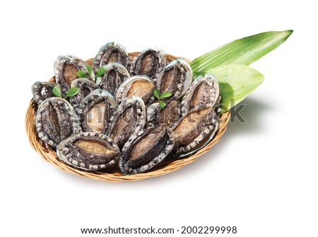 korea seafood fresh abalone shell Royalty-Free Stock Photo #2002299998