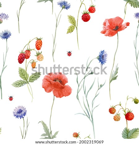 Beautiful seamless floral pattern with hand drawn watercolor gentle wild field flowers cornflower poppy. Stock illuistration.
