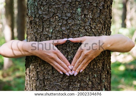 Woman hugging the tree. Hands making heart shape gesture on a trunk in summer forest. Concept of care for environment.